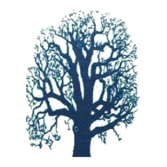 Forton Primary school