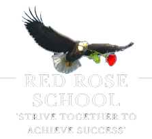 Red Rose School