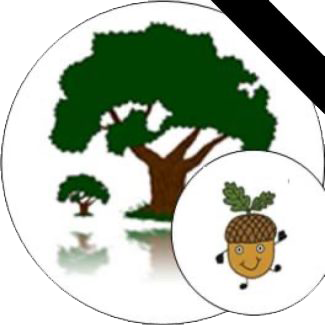 Burton Morewood CE Primary Academy & Nursery School