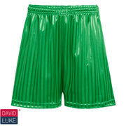 DL11 Shorts Emerald  (Unisex)