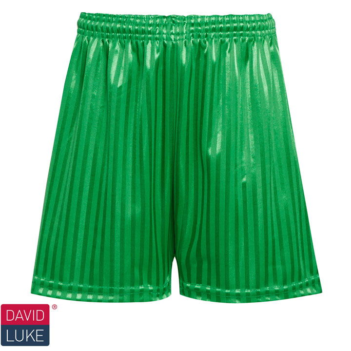 DL11 Shorts Emerald  (Unisex)