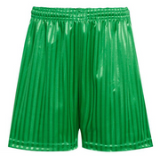 Shadow Stripe Shorts - Emerald Green