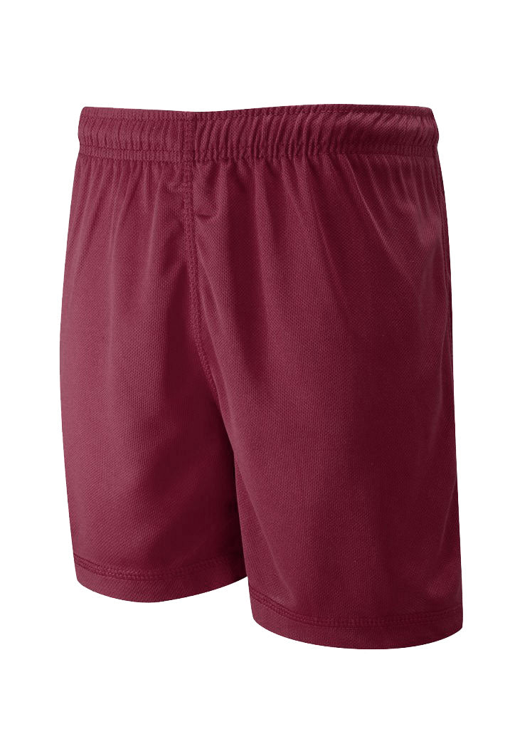 Falcon Y50 P.E. Shorts (Maroon)