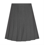 Pleated Skirt DL972 (Grey)