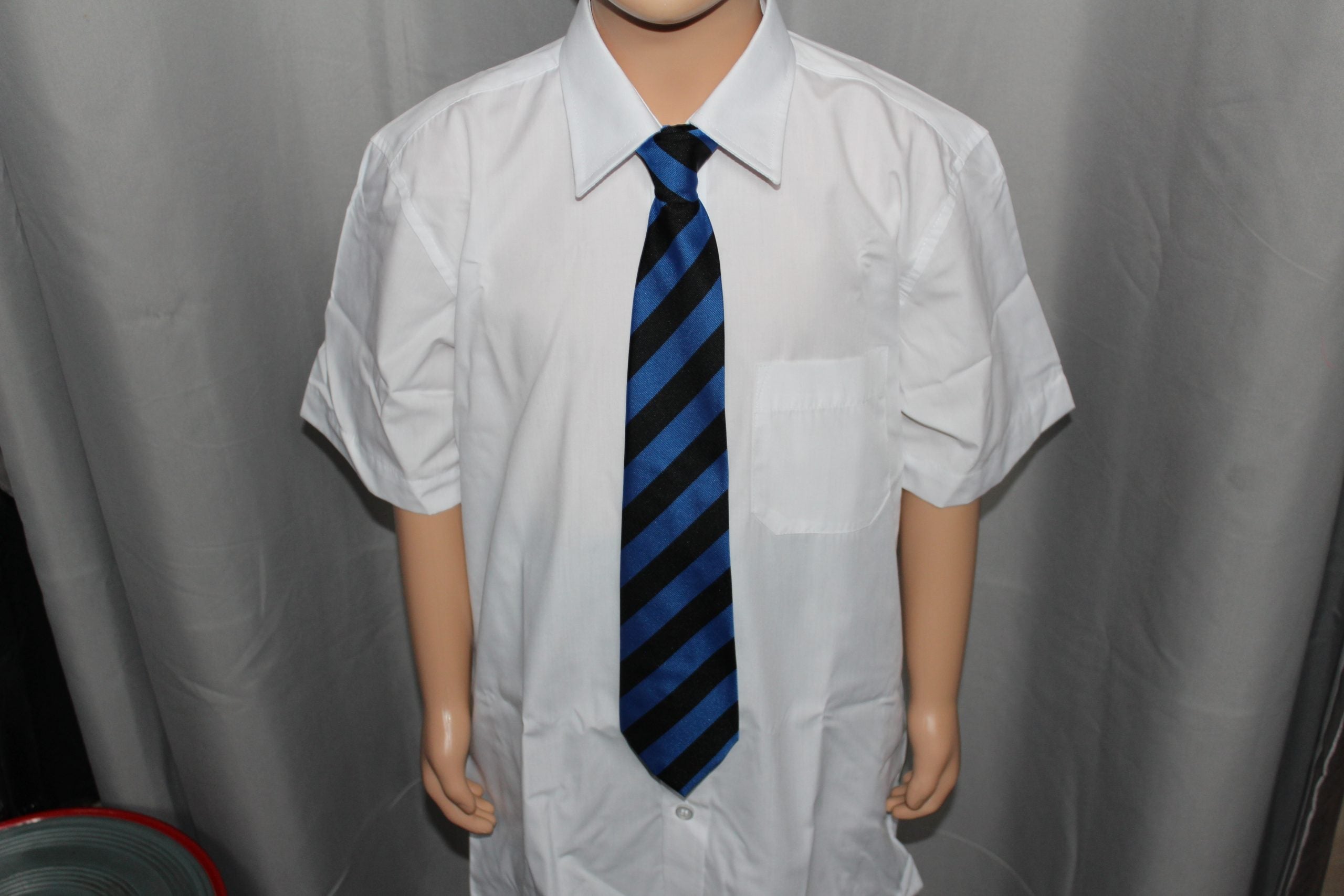 Carr Hill Tie (Royal)
