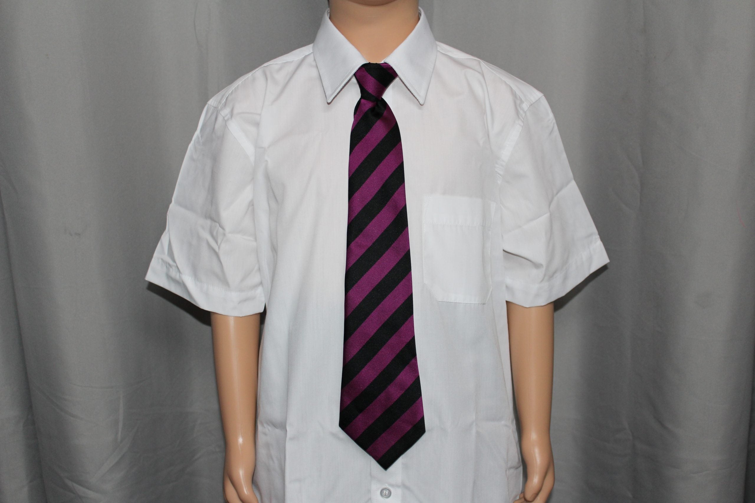 Carr Hill Tie (Purple)