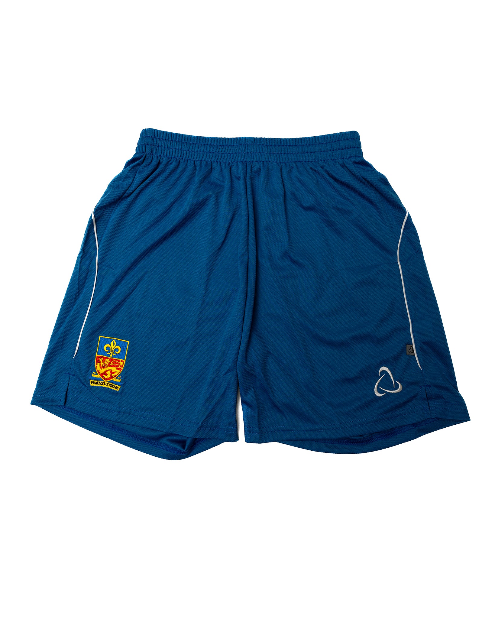 LRGS P.E Shorts (Blue)