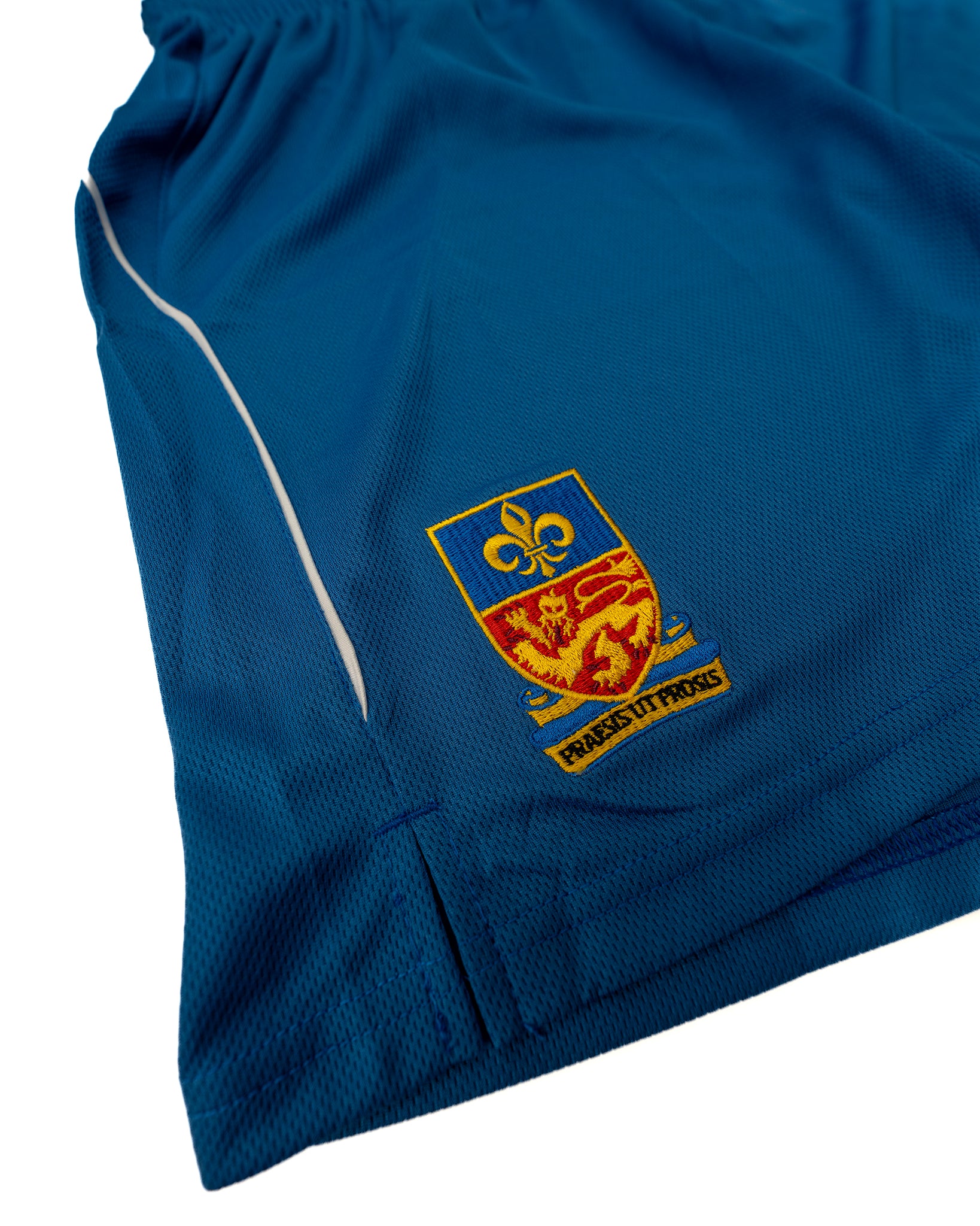 LRGS P.E Shorts (Blue)