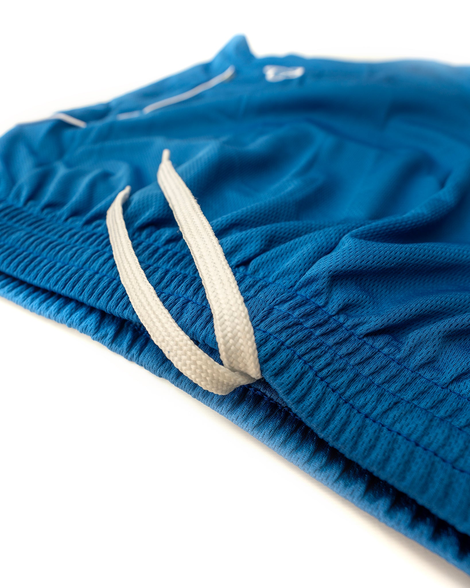 LRGS P.E Shorts (Blue)