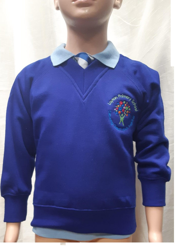Layton V-Neck Sweatshirt