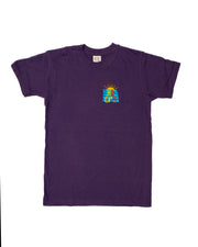 Morecambe Bay P.E Top