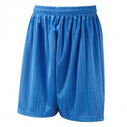 DL11 P.E Shorts Royal (Unisex)