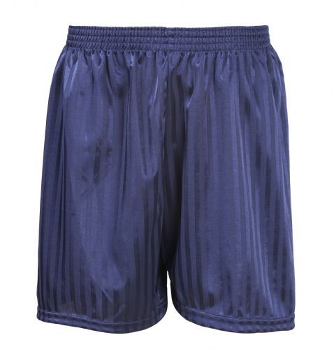 DL11 Shorts Navy (Unisex)