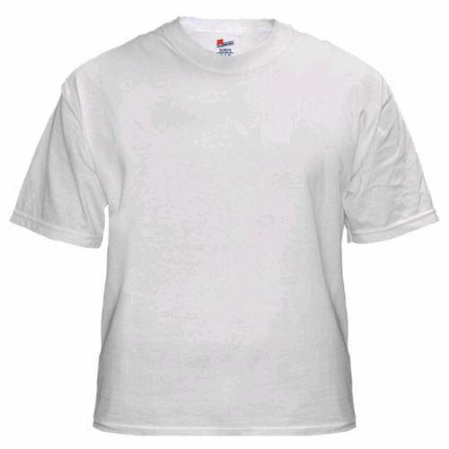 Caton P.E top