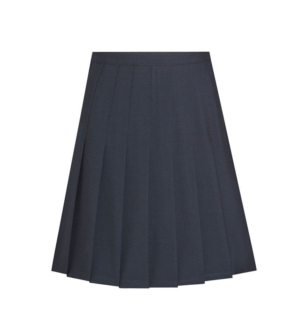 navy pleated skirt